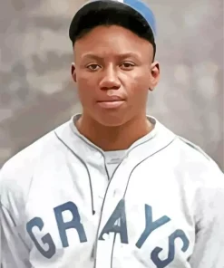 Josh Gibson Diamond Painting