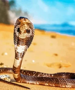 King Cobra Snake Diamond Painting