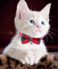 Kitten with Bowtie Diamond Painting