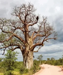 Kremetart Tree Diamond Painting