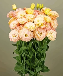 Lisianthus Flowers Diamond Painting
