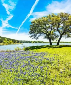 Texas Countryside Diamond Painting
