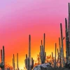 Cactus At Sunset Diamond Painting