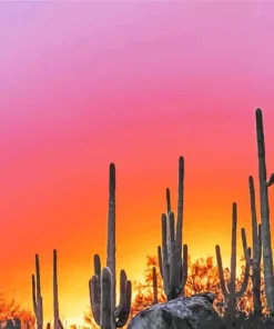 Cactus At Sunset Diamond Painting