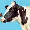 Butterfly Cow Diamond Painting