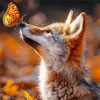 Butterfly On Fox Nose Diamond Painting