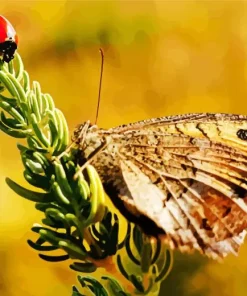 Butterfly With Ladybug Diamond Painting