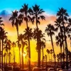 California Palm Trees At Sunset Diamond Painting