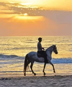 Horse Beach Diamond Painting