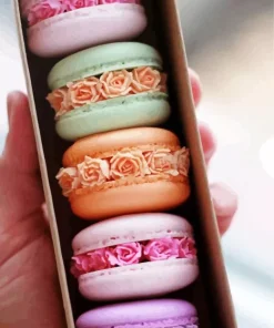 Macaron Flowers Diamond Painting