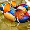 Mandarin Duck Diamond Painting