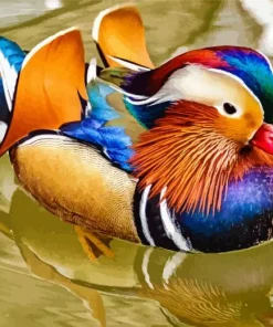 Mandarin Duck Diamond Painting