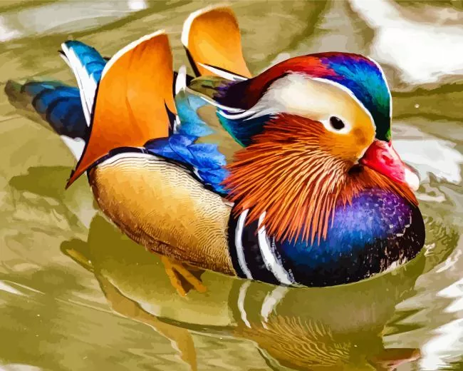 mandarin duck Diamond By Numbers Mandarin Duck Diamond Painting