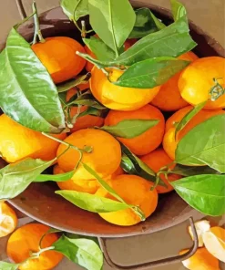 Mandarin Orange Diamond Painting