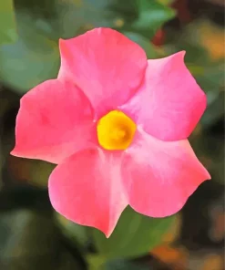 Pink Mandevilla Flower Diamond Painting