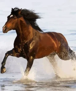 Azteca Mexican Horse Diamond Painting