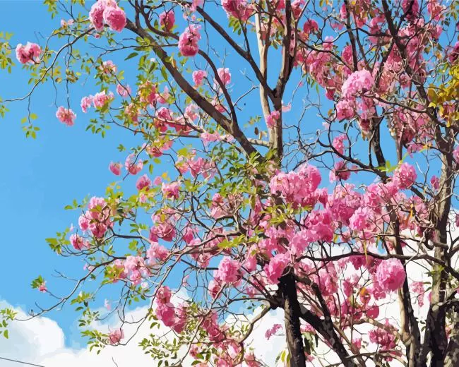 Tabebuia rosea tree Diamond Paintings Tabebuia Rosea Tree Diamond Painting