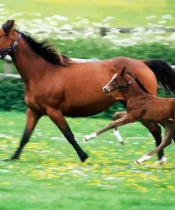Baby And Mama Horse Diamond Painting