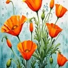 California Poppy Flowers Diamond Painting