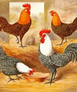 Campine Chicken Birds Diamond Painting