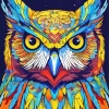 Colorful Owl Bird Diamond Painting