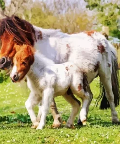 Miniature Horse Diamond Painting