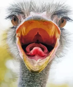 Ostrich Tongue Diamond Painting