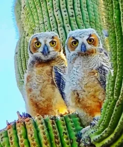 Owl On Cactus Diamond Painting