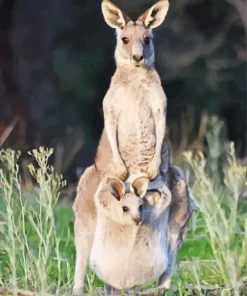 Baby Kangaroo In The Pouch Diamond Painting