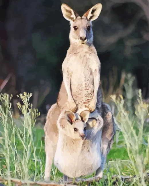Baby Kangaroo In The Pouch Diamond Painting Baby Kangaroo In The Pouch Diamond Painting