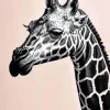 Black and White Giraffe Diamond Painting