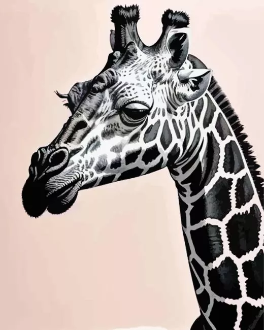 Black and White Giraffe Diamond Painting Black and White Giraffe Diamond Painting