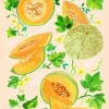 Cantaloupe Diamond Painting