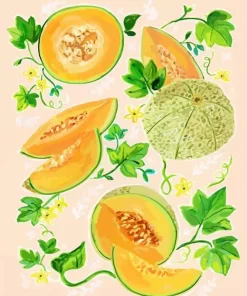 Cantaloupe Diamond Painting