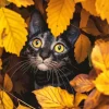 Cat in Fall Leaves Diamond Painting