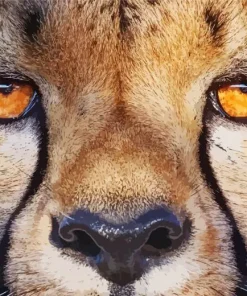 Cheetah Eyes Diamond Painting
