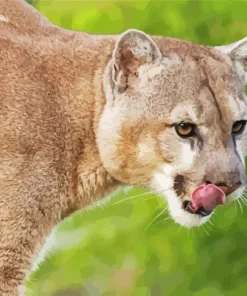 Cougar Lion Diamond Painting