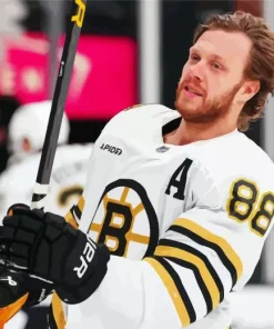 David Pastrnak Diamond Painting