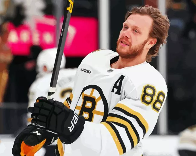 David Pastrnak Diamond Painting David Pastrnak Diamond Painting