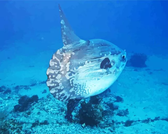 Mola Mola Fish Diamond Painting Mola Mola Fish Diamond Painting