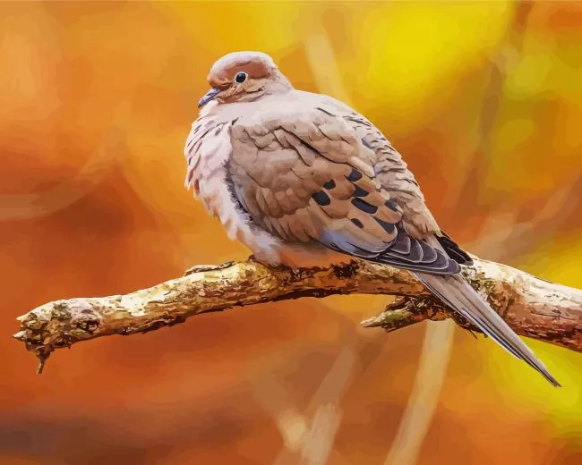 Mourning Dove Bird Diamond Painting Mourning Dove Bird Diamond Painting