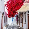 Mykonos Flowers Diamond Painting