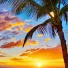 Napili Bay Sunset Diamond Painting