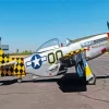 North American P51 Diamond Painting