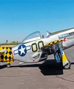 North American P51 Diamond Painting