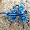 Nudibranch Animal Diamond Painting