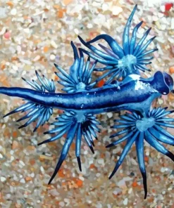 Nudibranch Animal Diamond Painting