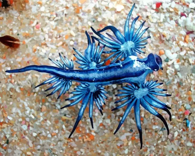 Nudibranch Animal Diamond Painting Nudibranch Animal Diamond Painting