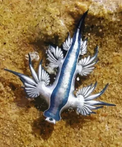 Nudibranch Blue Diamond Painting