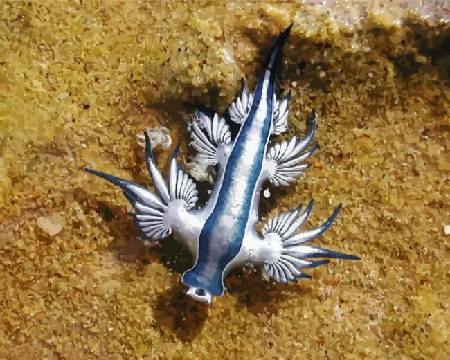 Nudibranch Blue Diamond Painting Nudibranch Blue Diamond Painting